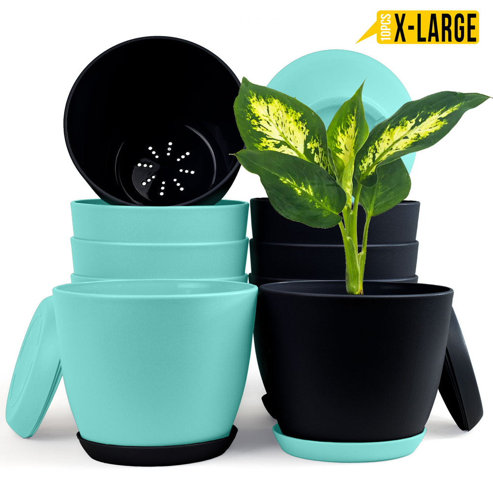 Fast Forward Extra Large Plant Pots with Drainage: Two Vibrant Colors, Ideal for Indoor Planters - Explore Multi-Packs for Plastic Planters, Cactus, and Succulents Pot Deco Fast Forward
