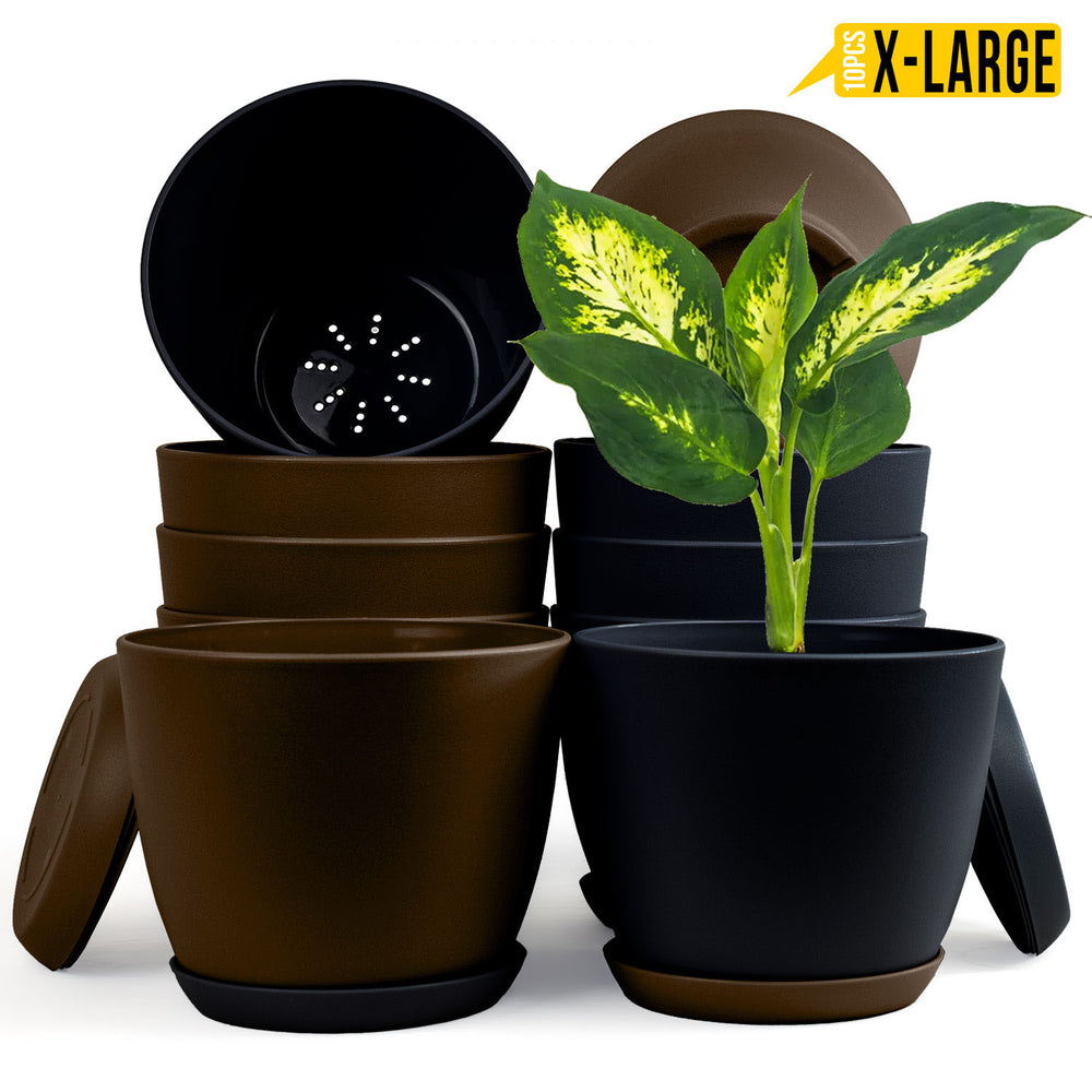 Fast Forward Extra Large Plant Pots with Drainage: Two Vibrant Colors, Ideal for Indoor Planters - Explore Multi-Packs for Plastic Planters, Cactus, and Succulents Pot Deco Fast Forward