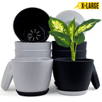 Fast Forward Extra Large Plant Pots with Drainage: Two Vibrant Colors, Ideal for Indoor Planters - Explore Multi-Packs for Plastic Planters, Cactus, and Succulents Pot Deco Fast Forward