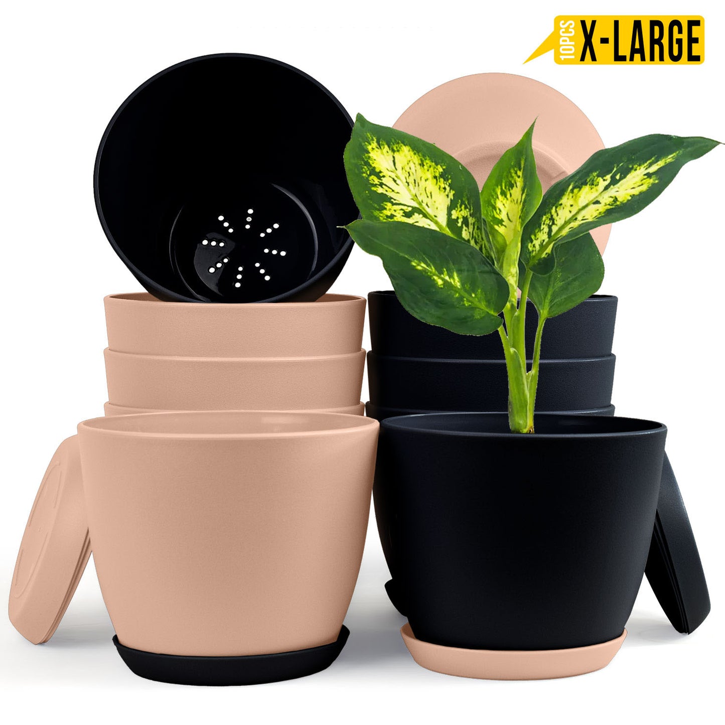 Fast Forward Extra Large Plant Pots with Drainage: Two Vibrant Colors, Ideal for Indoor Planters - Explore Multi-Packs for Plastic Planters, Cactus, and Succulents Pot Deco Fast Forward