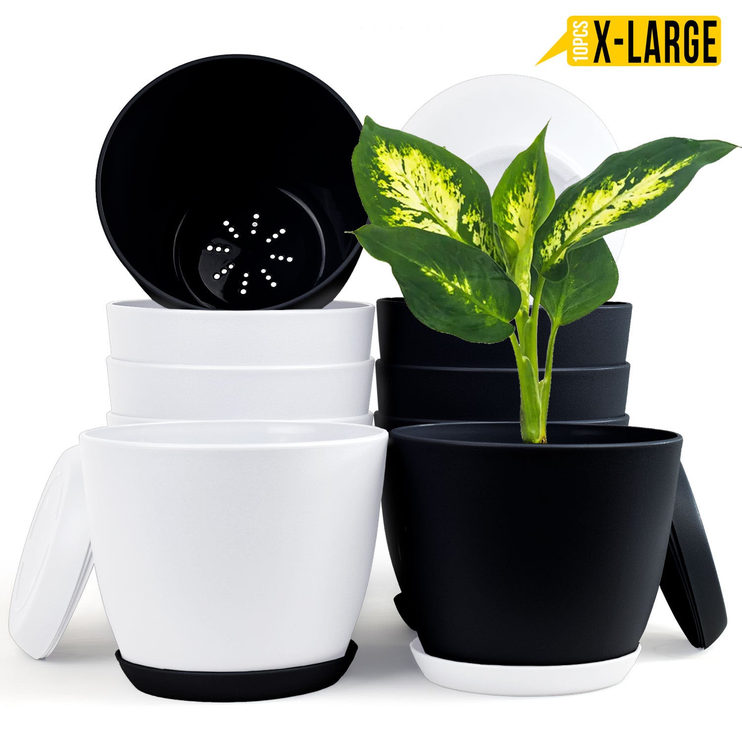 Fast Forward Extra Large Plant Pots with Drainage: Two Vibrant Colors, Ideal for Indoor Planters - Explore Multi-Packs for Plastic Planters, Cactus, and Succulents Pot Deco Fast Forward