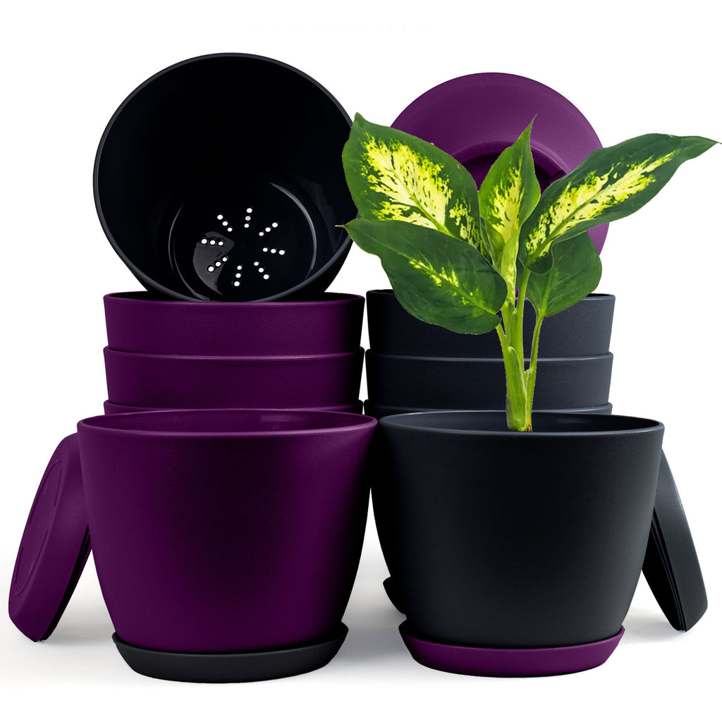 Extra Large Plant Pots with Drainage: Two Vibrant Colors, Ideal for Indoor Planters - Explore Multi-Packs for Plastic Planters