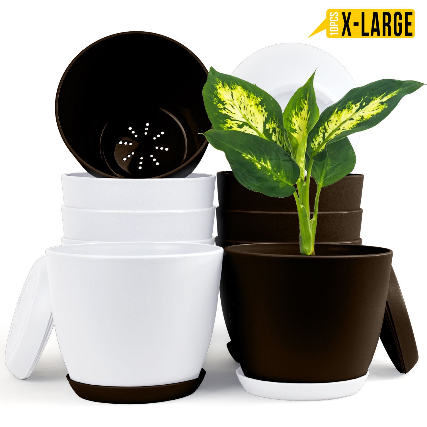 badgeElevate Your Space with Fast Forward Extra Large Plant Pots: Two Vibrant Colors, Drainage, Perfect for Indoor Planters - Explore Multi-Packs for Plastic Planters, Cactus, and Succulents Decor Fast Forward