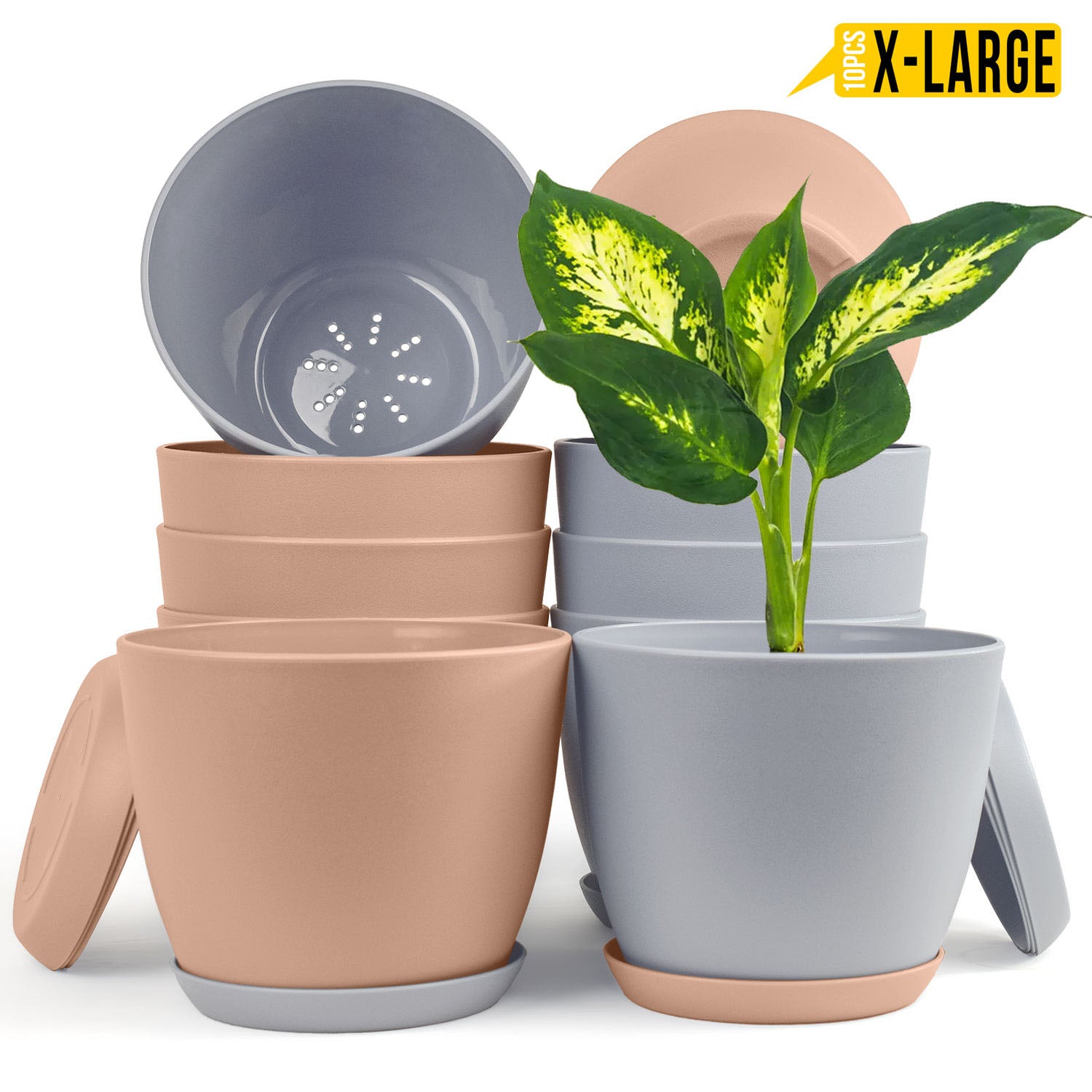 large pastel plant pots Elevate Your Home Decor with Fast Forward Extra-Large Plant Pots