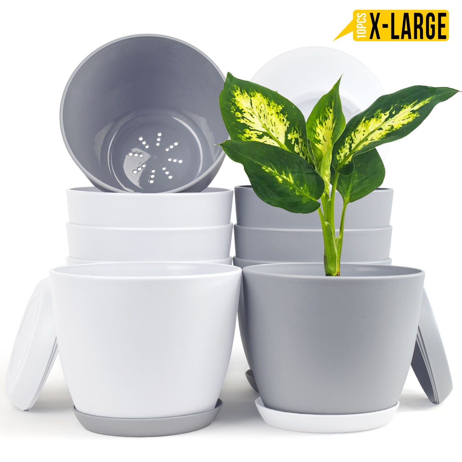Revitalize Your Space with Fast Forward Extra Large Plant Pots: Two Vibrant Colors, Drainage, Ideal for Indoor Planters - Explore Multi-Packs for Plastic Planters, Cactus, and Succulents Decor Fast Forward