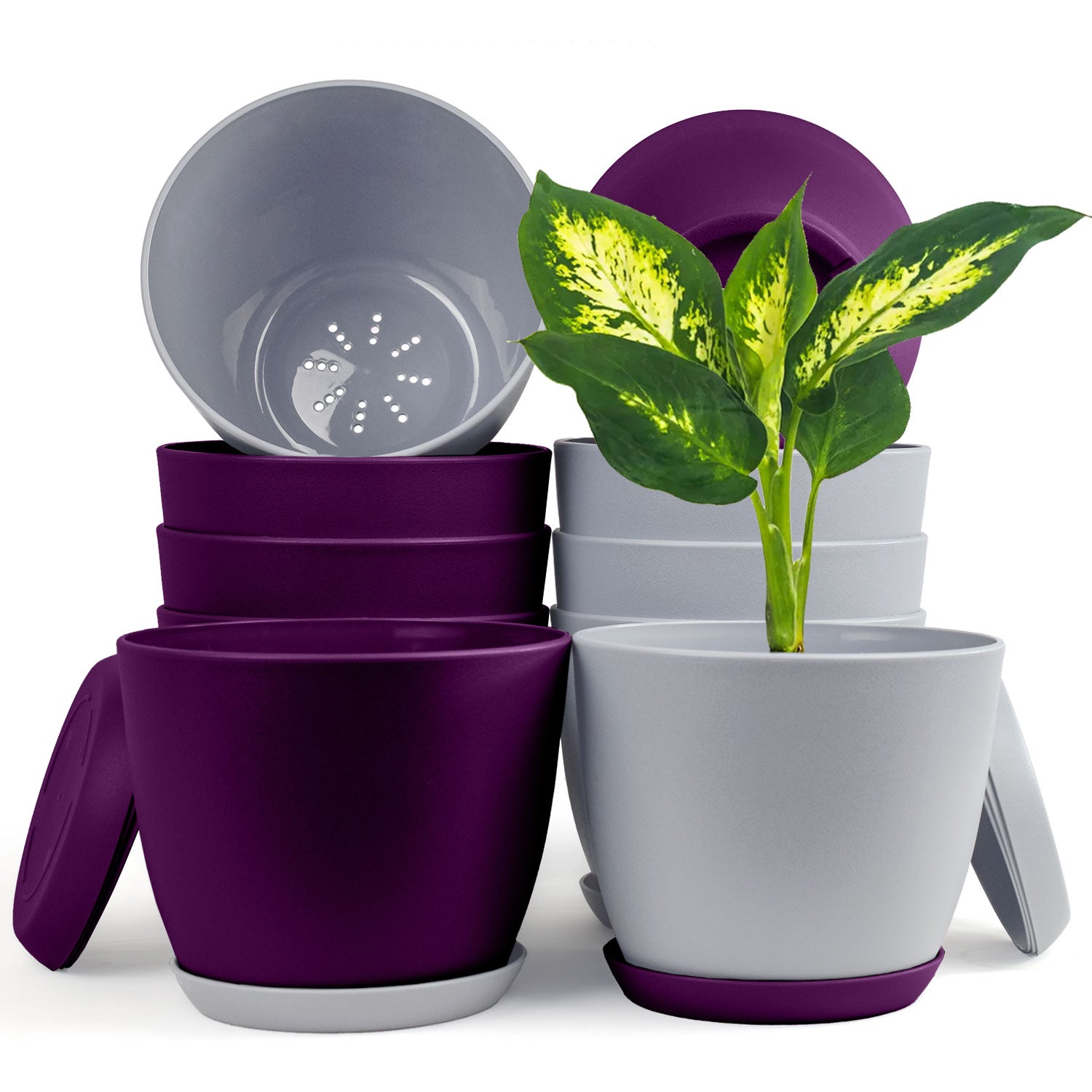 Revitalize Your Space with Fast Forward Extra Large Plant Pots: Two Vibrant Colors, Drainage, Ideal for Indoor Planters - Explore Multi-Packs for Plastic Planters