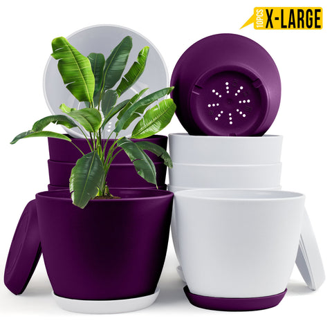 Fast Forward Extra Large Plant Pots with Drainage: Stylish Home Decor Flower Pots in Two Vibrant Colors - Ideal for Indoor Planters, Multi-Packs for Plastic Planters, Cactus, and Succulents