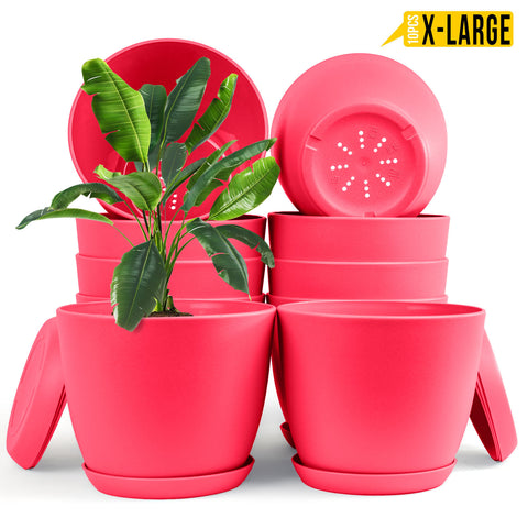 Enhance Your Space with Fast Forward Extra Large Plant Pots – Perfect Home Decor for Indoor and Outdoor Planters with Drainage - Explore Multi-Packs of Plastic Planters for Cactus and Succulents in Six Vibrant Colors