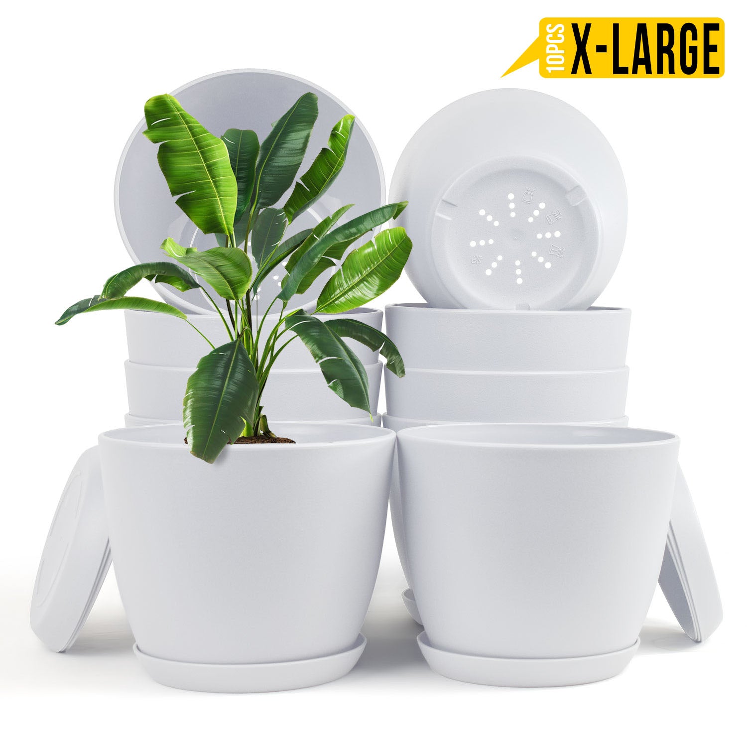 Enhance Your Space with Fast Forward Extra Large Plant Pots – Perfect Home Decor for Indoor and Outdoor Planters with Drainage - Explore Multi-Packs of Plastic Planters for Cactus and Succulents in Six Vibrant Colors Fast Forward