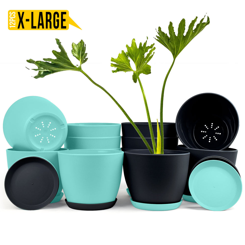 Fast Forward Extra Large Plant Pots with Drainage: Two Vibrant Colors, Ideal for Indoor Planters - Explore Multi-Packs for Plastic Planters, Cactus, and Succulents Pot Deco Fast Forward