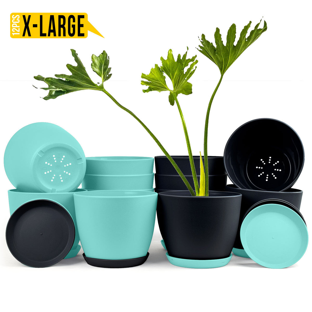 Fast Forward Extra Large Plant Pots with Drainage: Two Vibrant Colors, Ideal for Indoor Planters - Explore Multi-Packs for Plastic Planters, Cactus, and Succulents Pot Deco Fast Forward