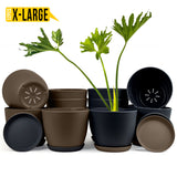 Fast Forward Extra Large Plant Pots with Drainage: Two Vibrant Colors, Ideal for Indoor Planters - Explore Multi-Packs for Plastic Planters, Cactus, and Succulents Pot Deco Fast Forward