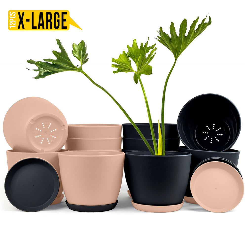 Fast Forward Extra Large Plant Pots with Drainage: Two Vibrant Colors, Ideal for Indoor Planters - Explore Multi-Packs for Plastic Planters, Cactus, and Succulents Pot Deco Fast Forward