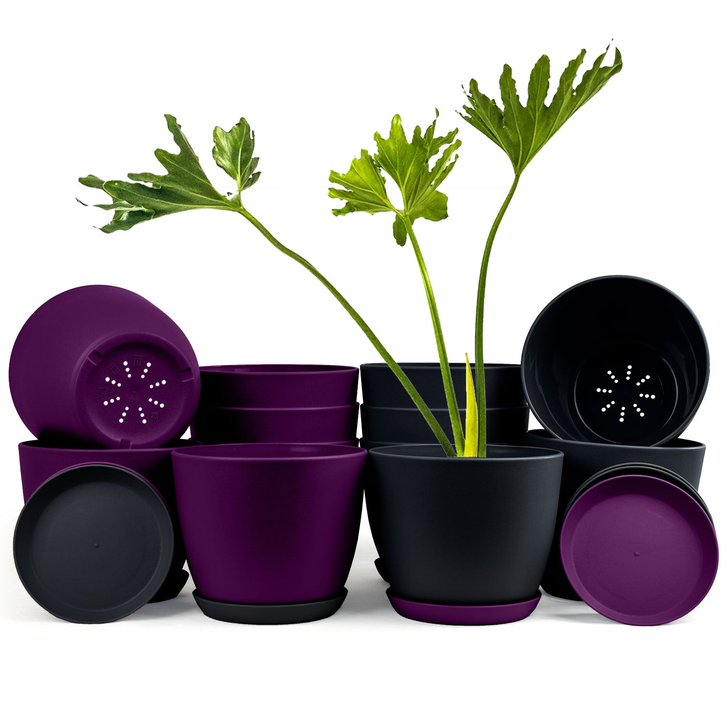 Extra Large Plant Pots with Drainage: Two Vibrant Colors, Ideal for Indoor Planters - Explore Multi-Packs for Plastic Planters