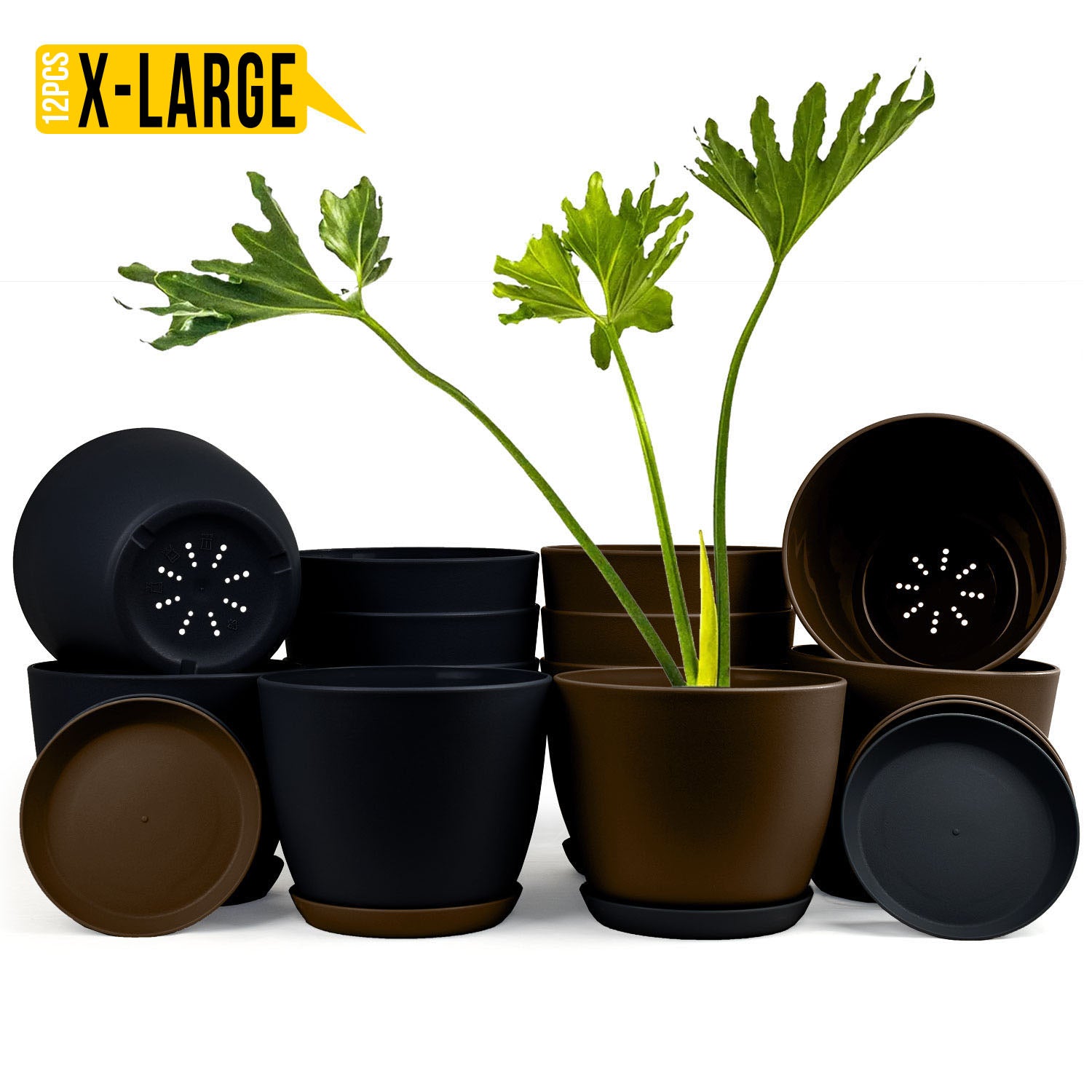 Elevate Your Space with Fast Forward Extra Large Plant Pots: Two Vibrant Colors, Drainage, Perfect for Indoor Planters - Explore Multi-Packs for Plastic Planters, Cactus, and Succulents Decor Fast Forward