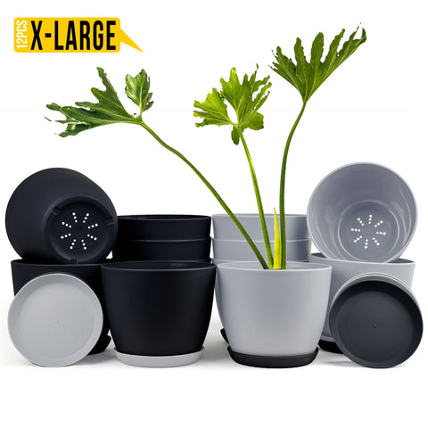 Revitalize Your Space with Fast Forward Extra Large Plant Pots: Two Vibrant Colors, Drainage, Ideal for Indoor Planters - Explore Multi-Packs for Plastic Planters, Cactus, and Succulents Decor Fast Forward