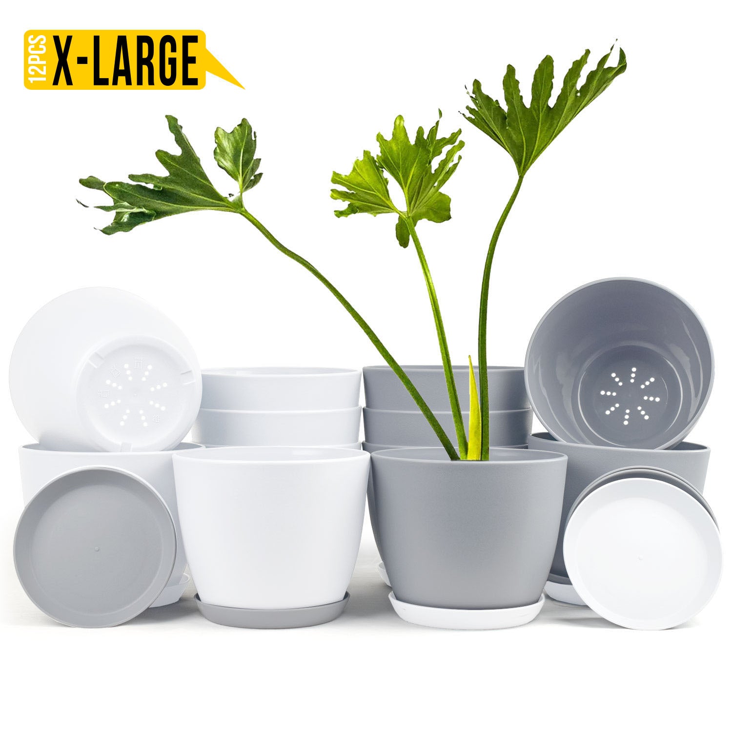 Revitalize Your Space with Fast Forward Extra Large Plant Pots: Two Vibrant Colors, Drainage, Ideal for Indoor Planters - Explore Multi-Packs for Plastic Planters, Cactus, and Succulents Decor Fast Forward