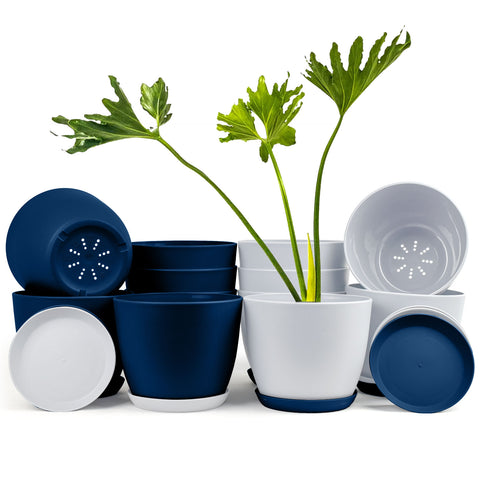 Revitalize Your Space with Fast Forward Extra Large Plant Pots: Two Vibrant Colors, Drainage, Ideal for Indoor Planters - Explore Multi-Packs for Plastic Planters, Cactus, and Succulents Decor