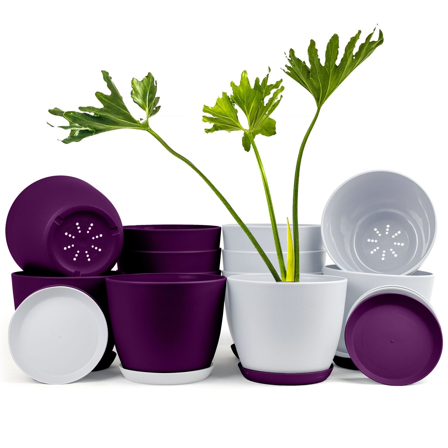Revitalize Your Space with Fast Forward Extra Large Plant Pots: Two Vibrant Colors, Drainage, Ideal for Indoor Planters - Explore Multi-Packs for Plastic Planters