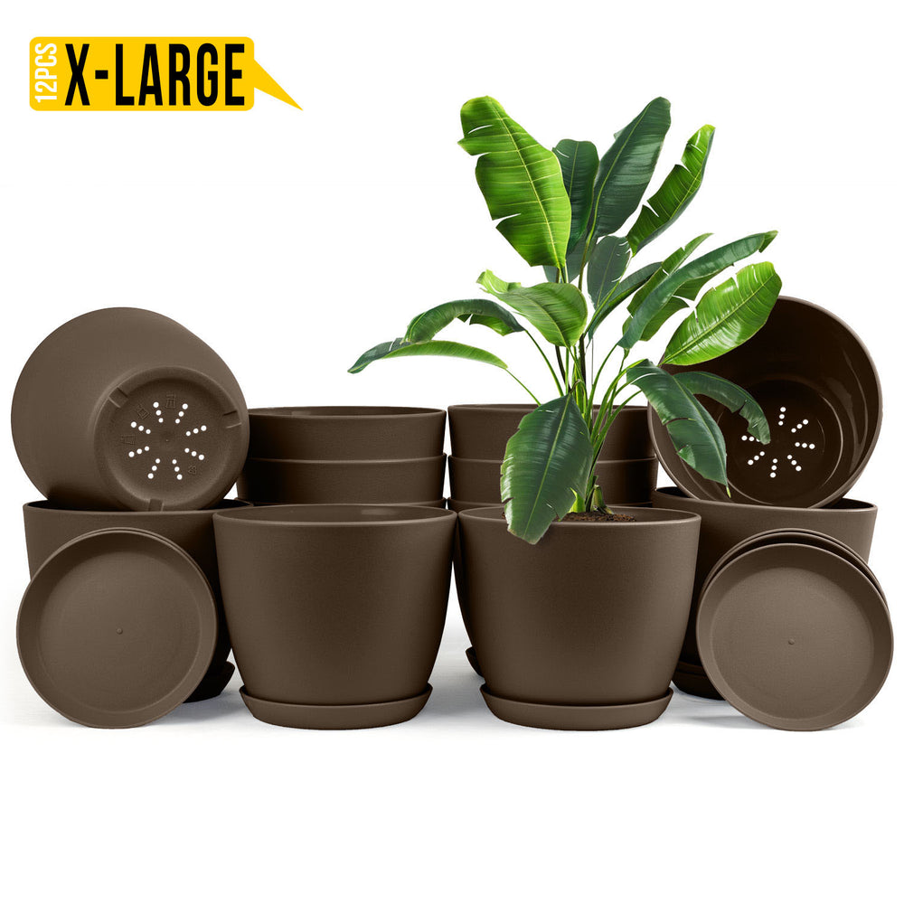Enhance Your Space with Fast Forward Extra Large Plant Pots – Perfect Home Decor for Indoor and Outdoor Planters with Drainage - Explore Multi-Packs of Plastic Planters for Cactus and Succulents in Six Vibrant Colors Fast Forward