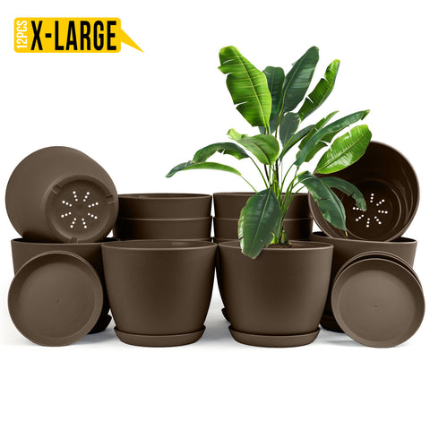 Enhance Your Space with Fast Forward Extra Large Plant Pots – Perfect Home Decor for Indoor and Outdoor Planters with Drainage - Explore Multi-Packs of Plastic Planters for Cactus and Succulents in Six Vibrant Colors Fast Forward