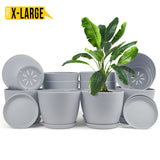 Enhance Your Space with Fast Forward Extra Large Plant Pots – Perfect Home Decor for Indoor and Outdoor Planters with Drainage - Explore Multi-Packs of Plastic Planters for Cactus and Succulents in Six Vibrant Colors Fast Forward