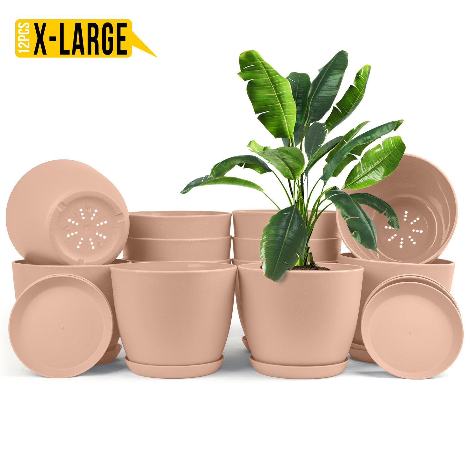 Enhance Your Space with Fast Forward Extra Large Plant Pots – Perfect Home Decor for Indoor and Outdoor Planters with Drainage - Explore Multi-Packs of Plastic Planters for Cactus and Succulents in Six Vibrant Colors Fast Forward