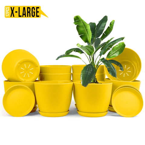 Enhance Your Space with Fast Forward Extra Large Plant Pots – Perfect Home Decor for Indoor and Outdoor Planters with Drainage - Explore Multi-Packs of Plastic Planters for Cactus and Succulents in Six Vibrant Colors