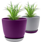 Revitalize Your Space with Fast Forward Extra Large Plant Pots: Two Vibrant Colors, Drainage, Ideal for Indoor Planters - Explore Multi-Packs for Plastic Planters