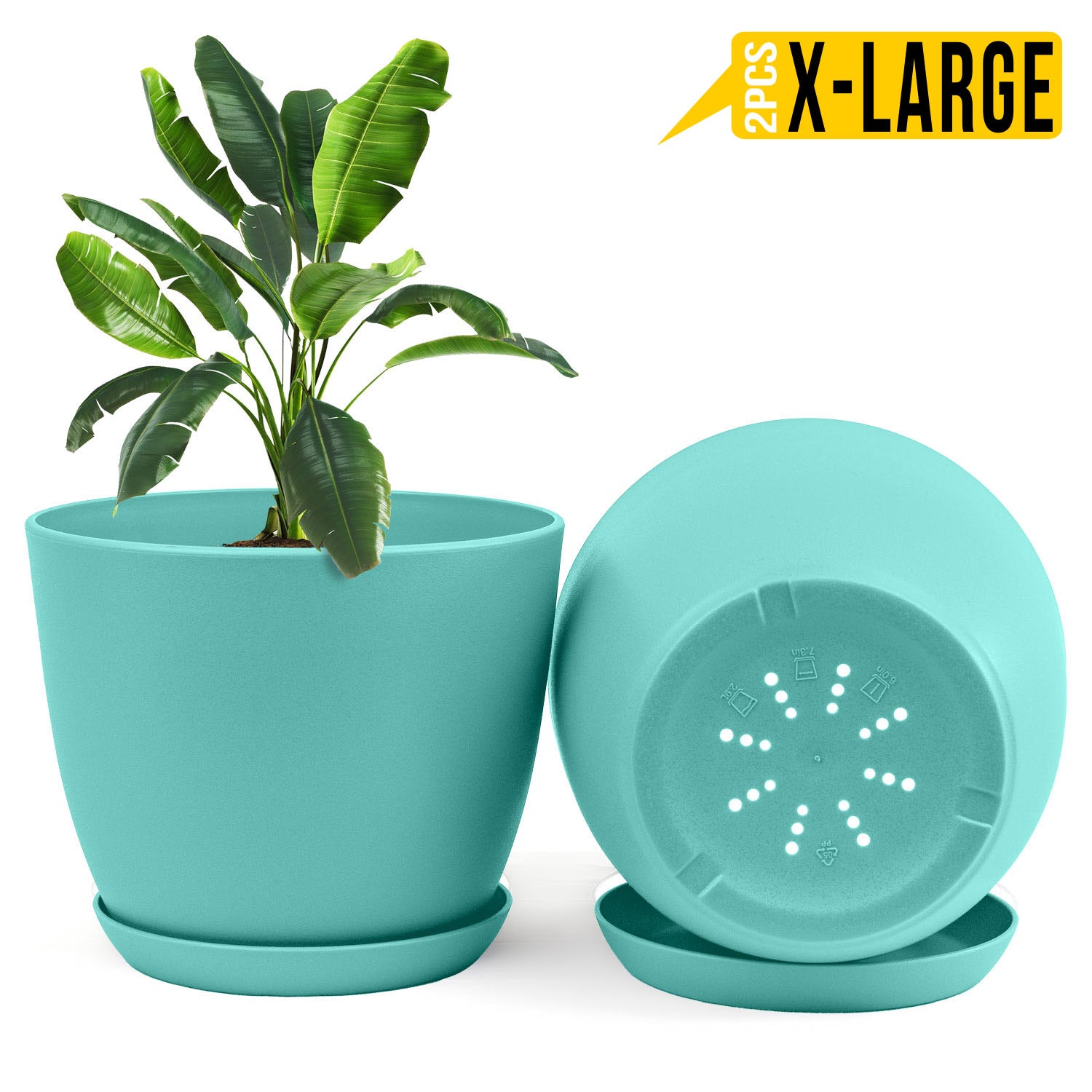 Enhance Your Space with Fast Forward Extra Large Plant Pots – Perfect Home Decor for Indoor and Outdoor Planters with Drainage - Explore Multi-Packs of Plastic Planters for Cactus and Succulents in Six Vibrant Colors Fast Forward