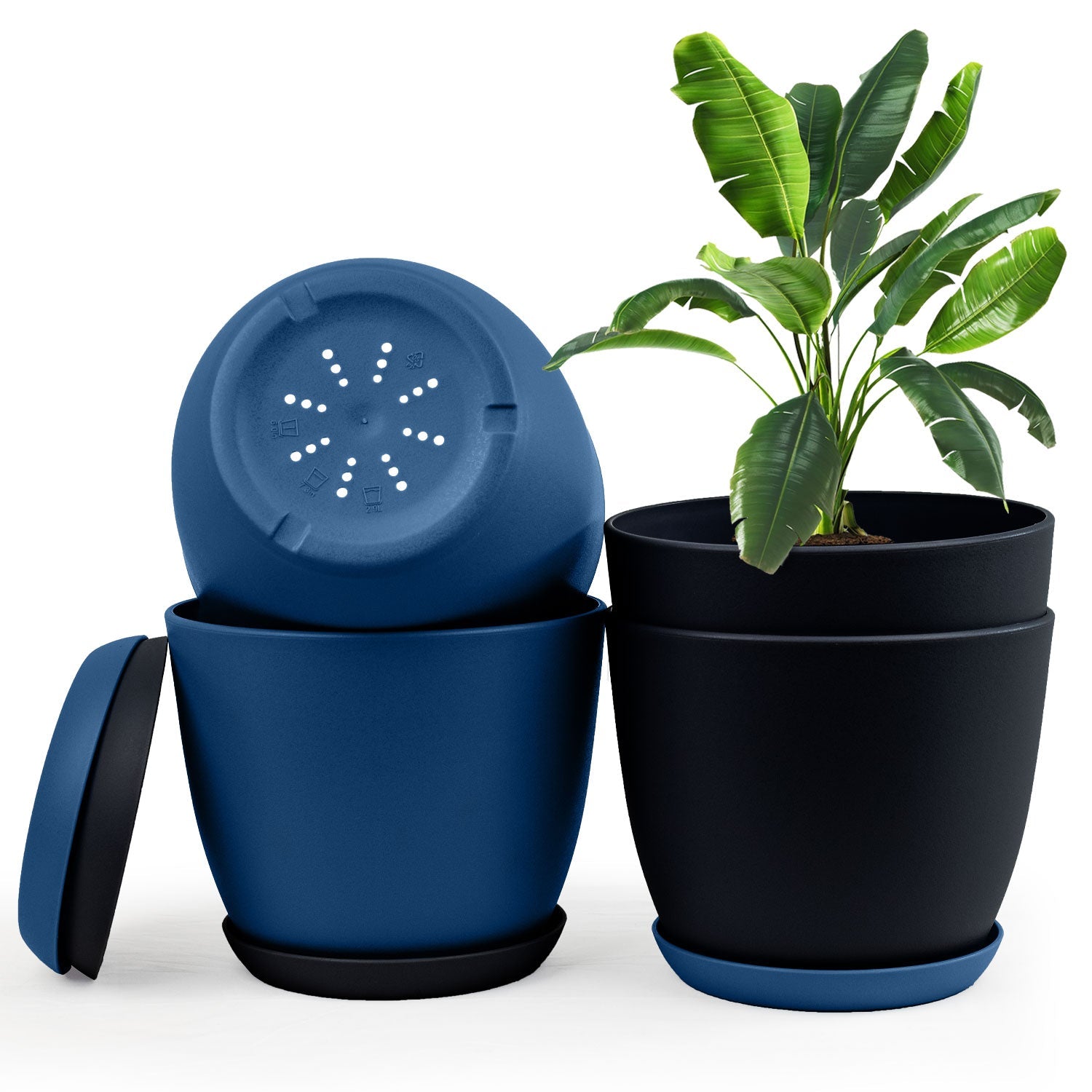 Extra Large Plant Pots with Drainage: Two Vibrant Colors, Ideal for Indoor Planters - Explore Multi-Packs for Plastic Planters