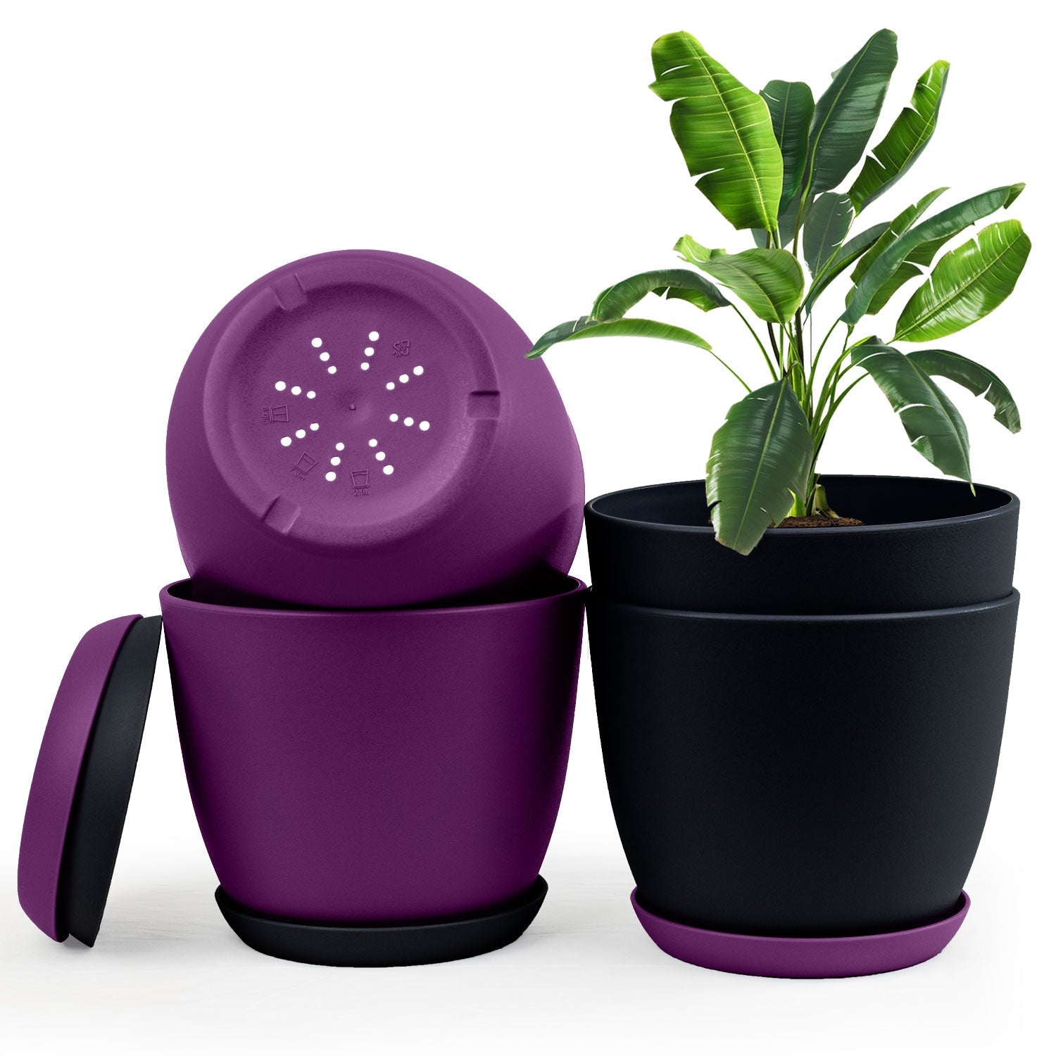 Extra Large Plant Pots with Drainage: Two Vibrant Colors, Ideal for Indoor Planters - Explore Multi-Packs for Plastic Planters