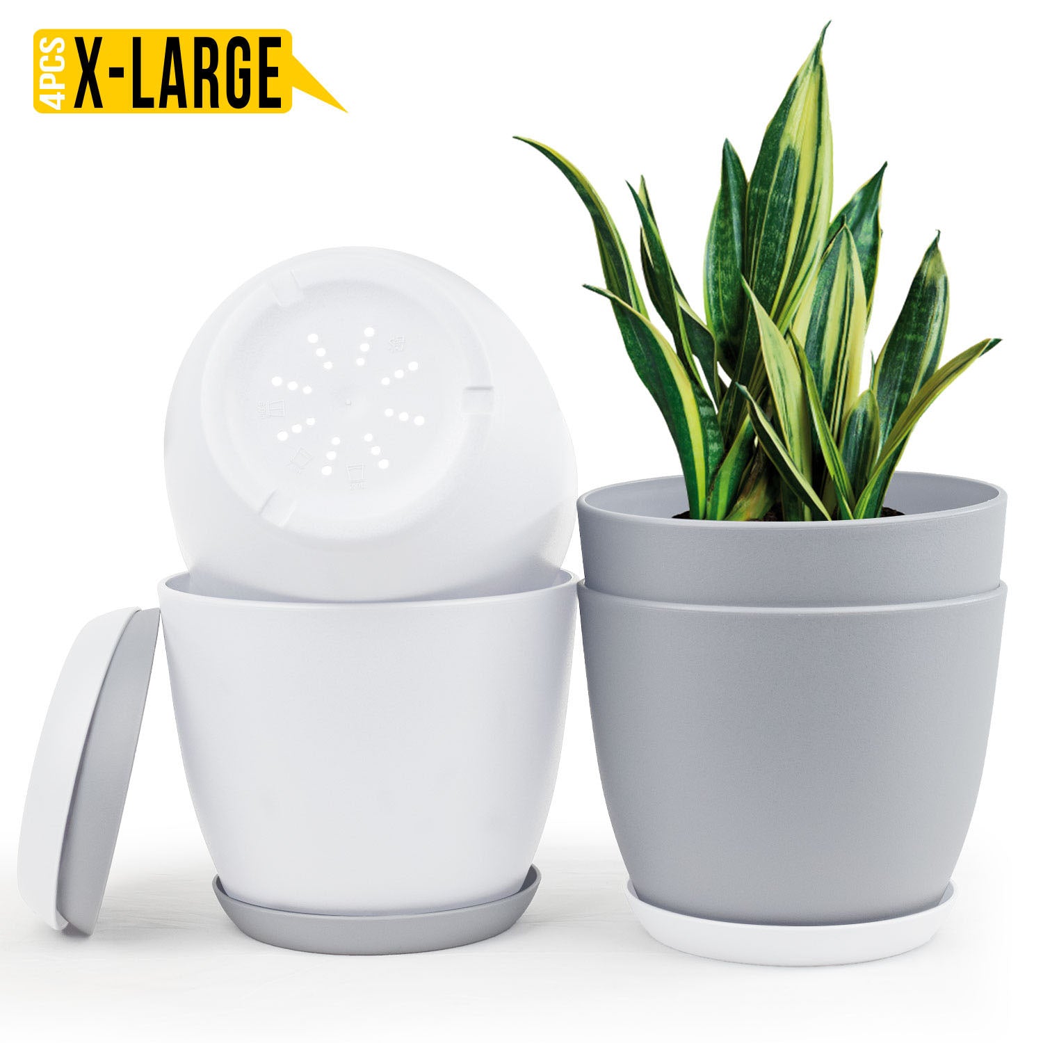 Revitalize Your Space with Fast Forward Extra Large Plant Pots: Two Vibrant Colors, Drainage, Ideal for Indoor Planters - Explore Multi-Packs for Plastic Planters, Cactus, and Succulents Decor Fast Forward