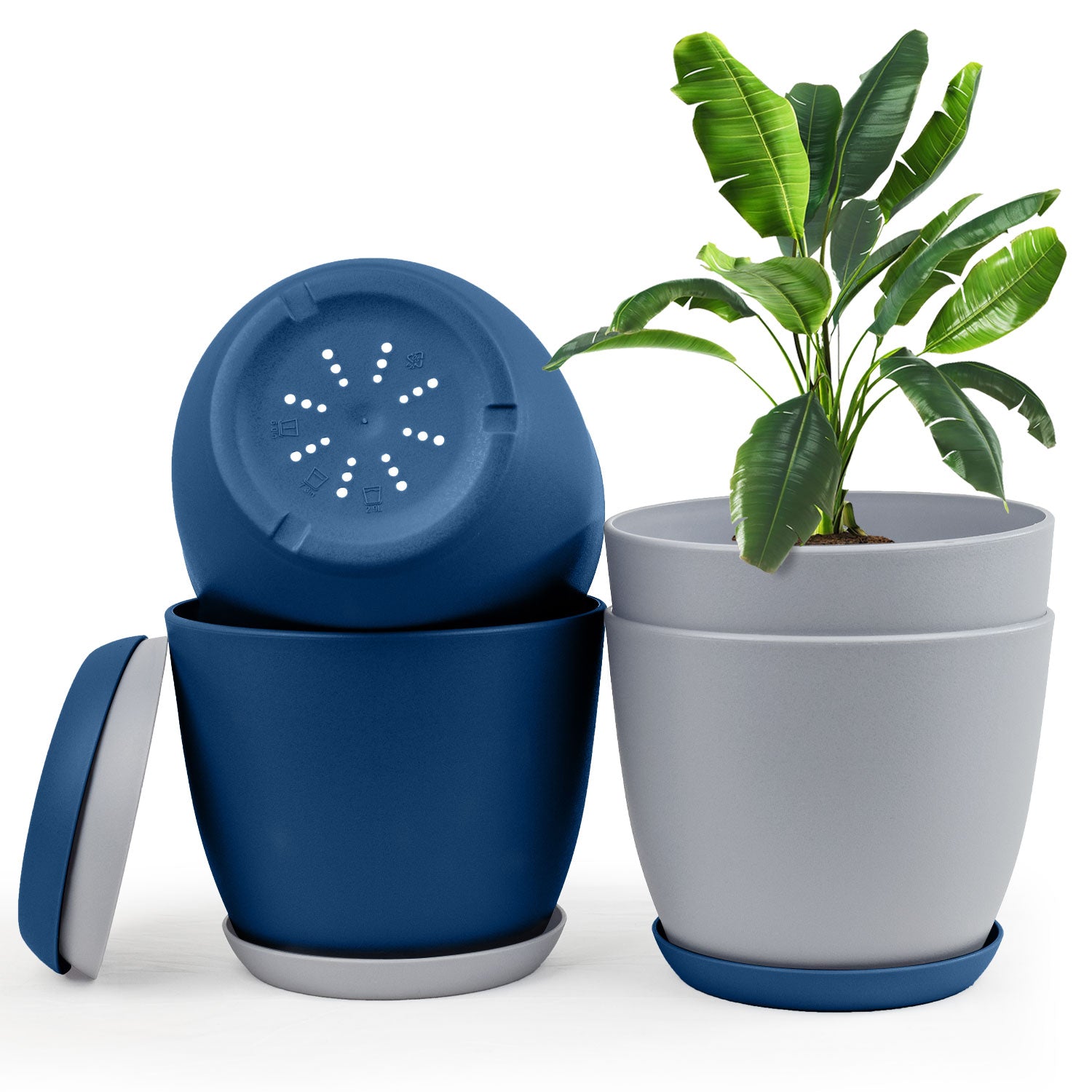 Revitalize Your Space with Fast Forward Extra Large Plant Pots: Two Vibrant Colors, Drainage, Ideal for Indoor Planters - Explore Multi-Packs for Plastic Planters