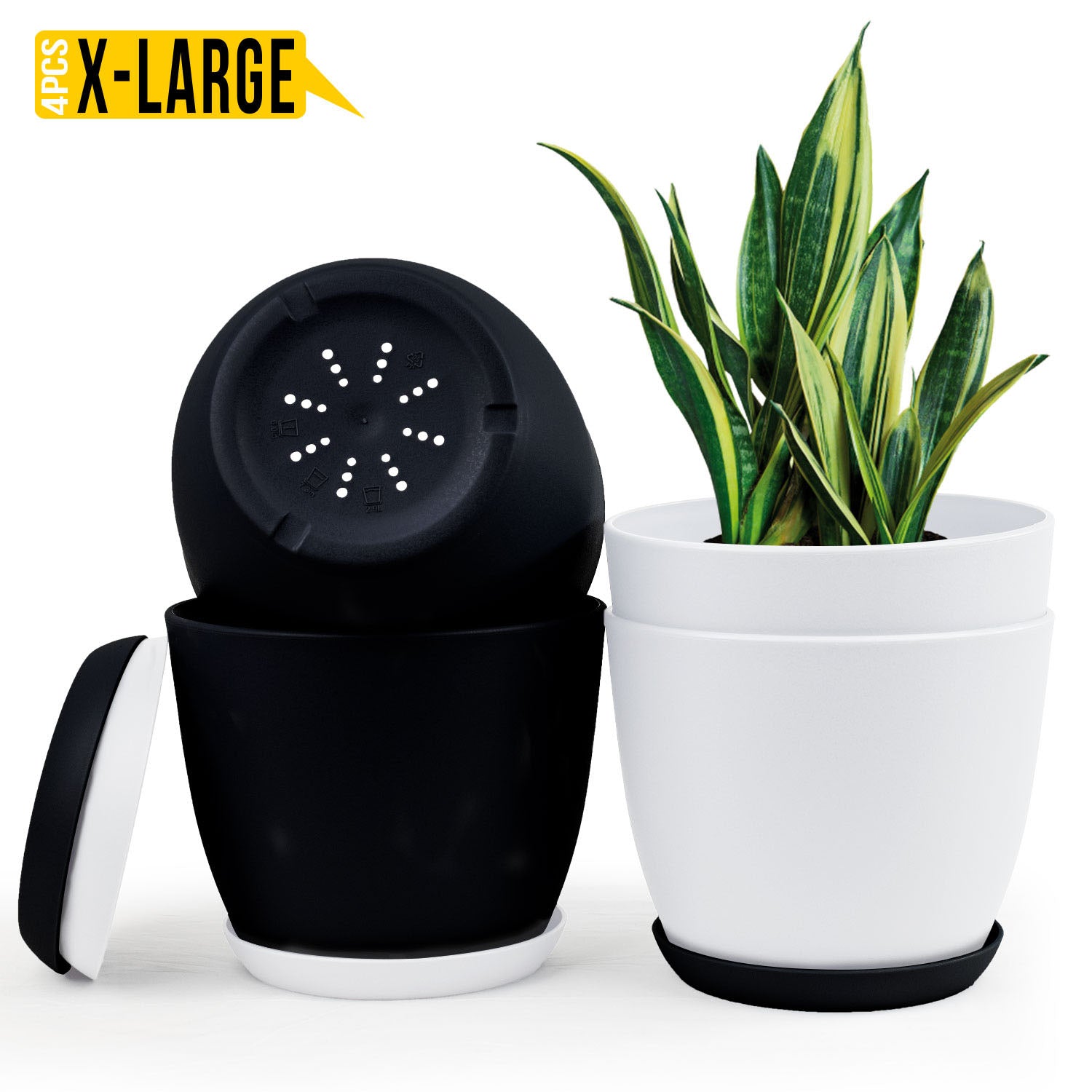 Fast Forward Extra Large Plant Pots with Drainage: Stylish Home Decor Flower Pots in Two Vibrant Colors - Ideal for Indoor Planters, Multi-Packs for Plastic Planters, Cactus, and Succulents Fast Forward
