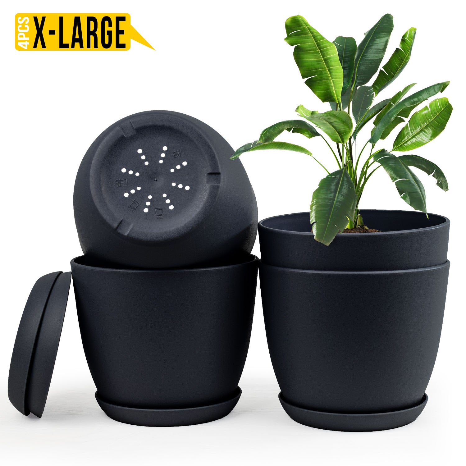 Enhance Your Space with Fast Forward Extra Large Plant Pots – Perfect Home Decor for Indoor and Outdoor Planters with Drainage - Explore Multi-Packs of Plastic Planters for Cactus and Succulents in Six Vibrant Colors Fast Forward