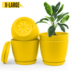 Extra Large Plant Pots for Indoor/Outdoor Use with Drainage. Available in Multi-Packs and Six Vibrant Colors