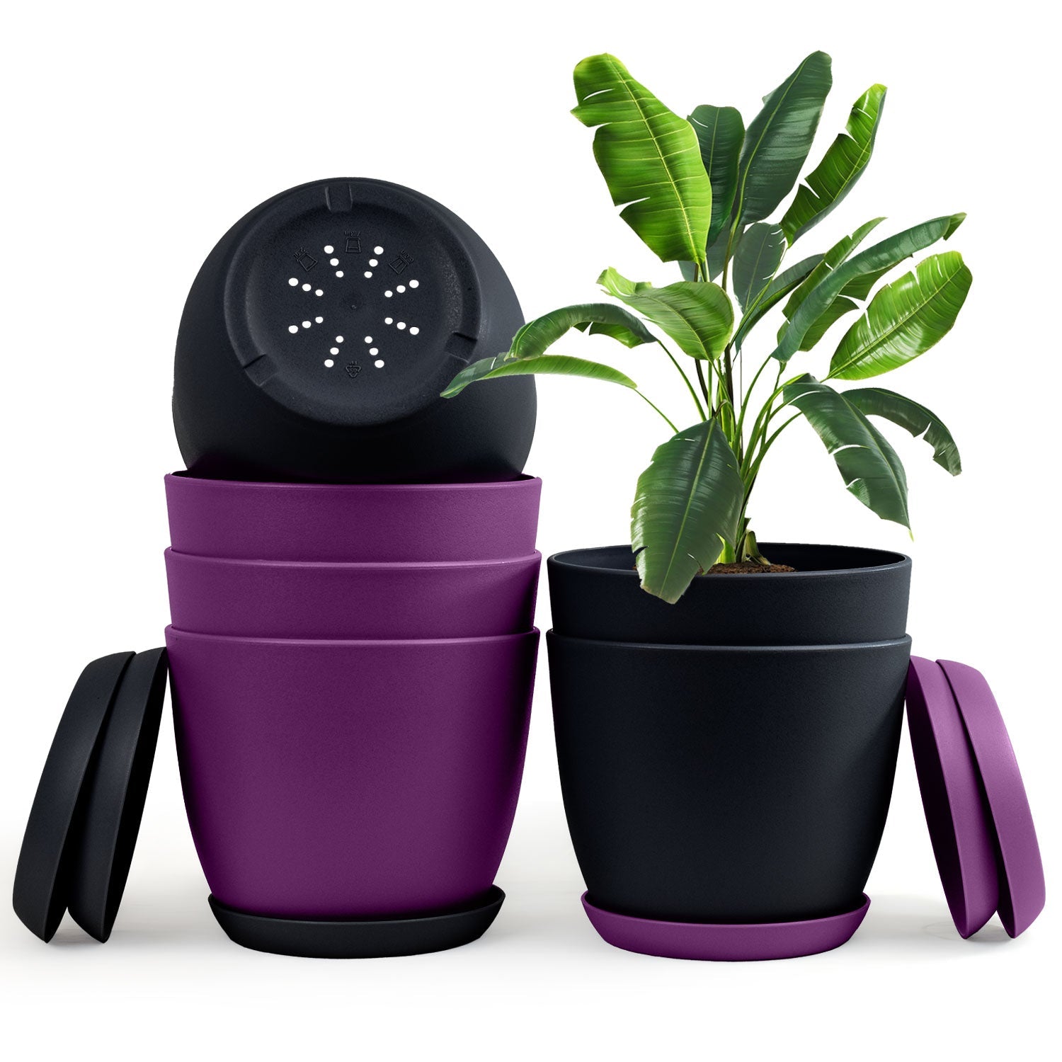 Extra Large Plant Pots with Drainage: Two Vibrant Colors, Ideal for Indoor Planters - Explore Multi-Packs for Plastic Planters