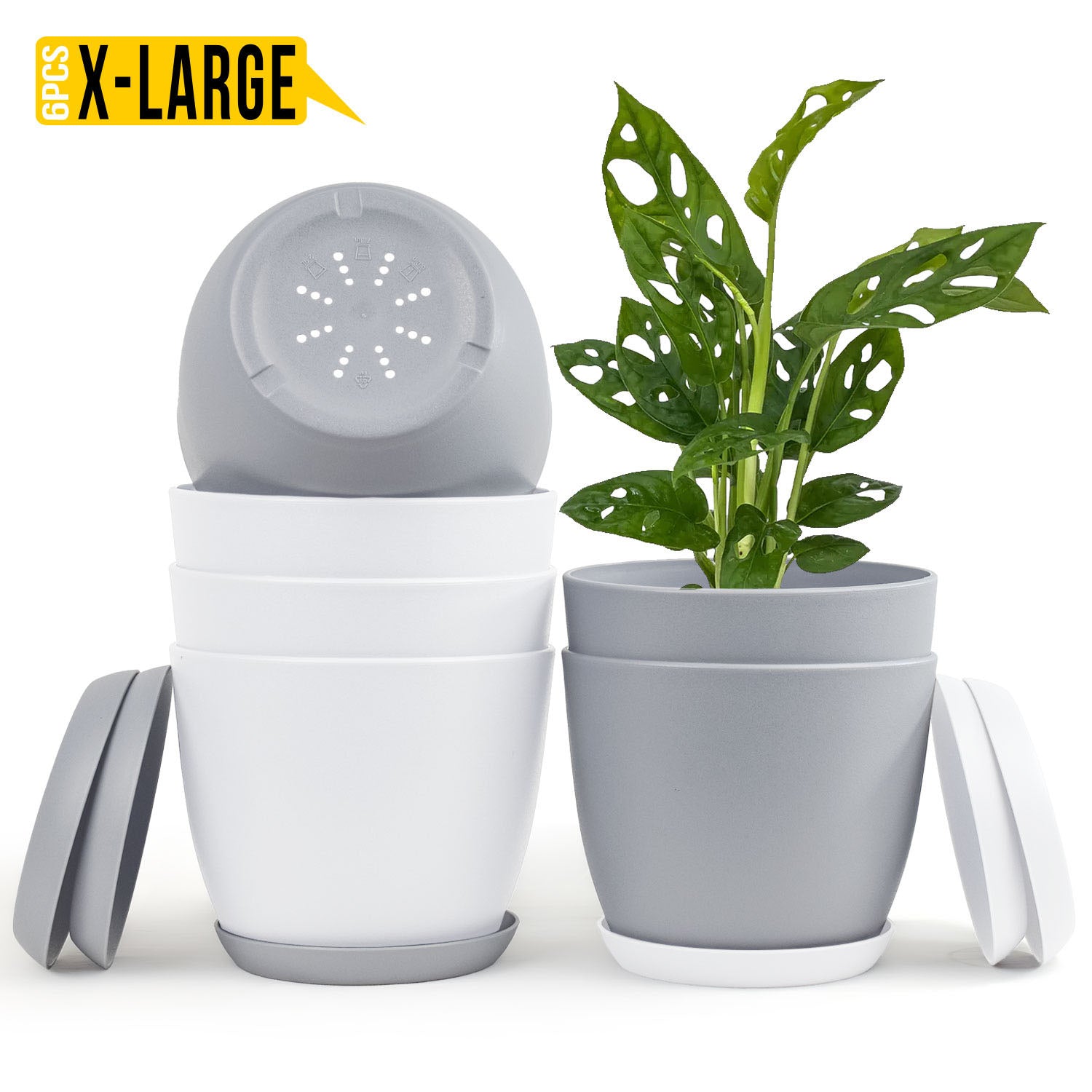 Revitalize Your Space with Fast Forward Extra Large Plant Pots: Two Vibrant Colors, Drainage, Ideal for Indoor Planters - Explore Multi-Packs for Plastic Planters, Cactus, and Succulents Decor Fast Forward