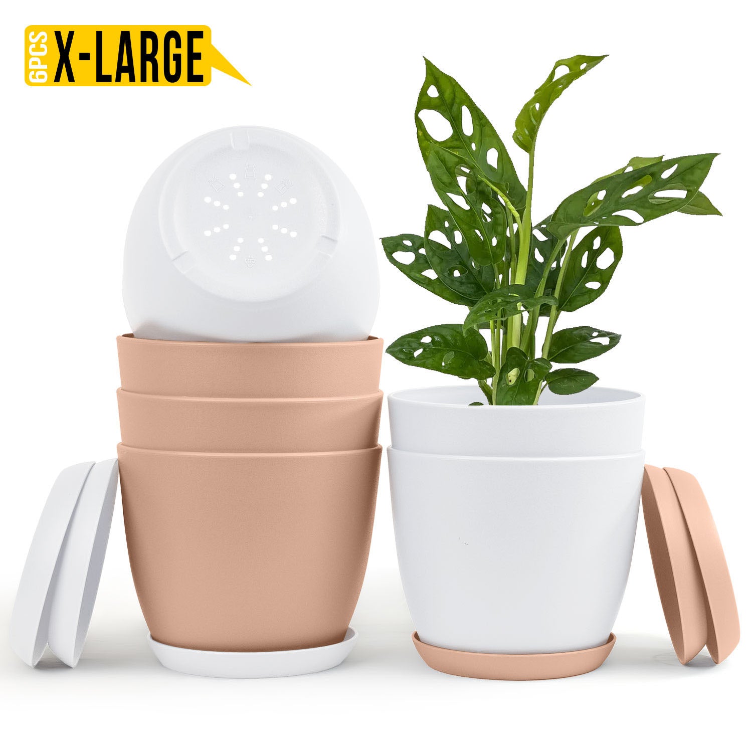 Fast Forward Extra Large Plant Pots with Drainage: Stylish Home Decor Flower Pots in Two Vibrant Colors - Ideal for Indoor Planters, Multi-Packs for Plastic Planters, Cactus, and Succulents Fast Forward