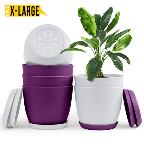 Fast Forward Extra Large Plant Pots with Drainage: Stylish Home Decor Flower Pots in Two Vibrant Colors - Ideal for Indoor Planters, Multi-Packs for Plastic Planters, Cactus, and Succulents