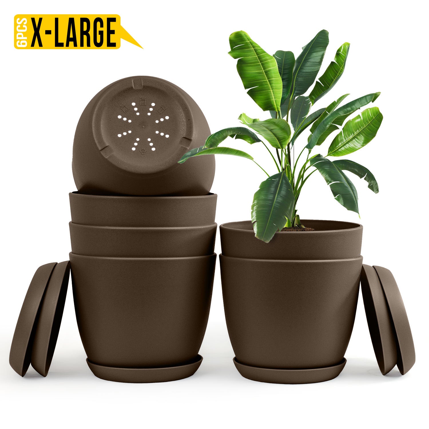 Enhance Your Space with Fast Forward Extra Large Plant Pots – Perfect Home Decor for Indoor and Outdoor Planters with Drainage - Explore Multi-Packs of Plastic Planters for Cactus and Succulents in Six Vibrant Colors Fast Forward