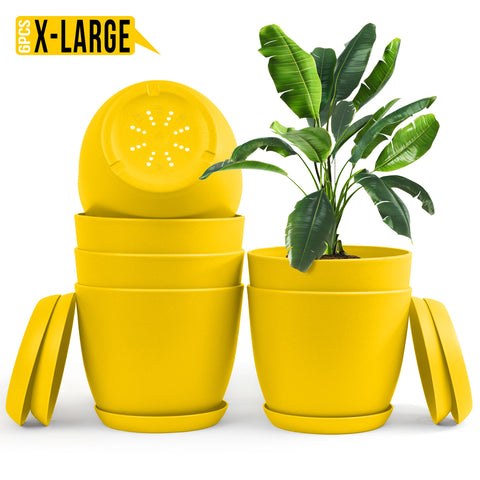 Enhance Your Space with Fast Forward Extra Large Plant Pots – Perfect Home Decor for Indoor and Outdoor Planters with Drainage - Explore Multi-Packs of Plastic Planters for Cactus and Succulents in Six Vibrant Colors