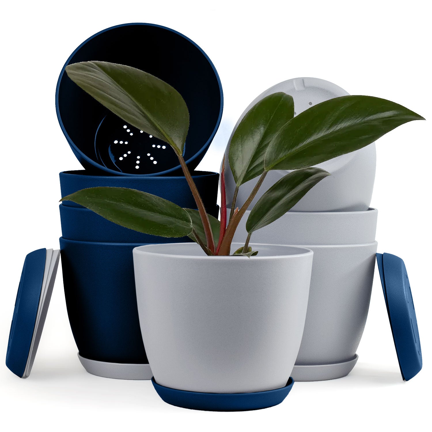 Revitalize Your Space with Fast Forward Extra Large Plant Pots: Two Vibrant Colors, Drainage, Ideal for Indoor Planters - Explore Multi-Packs for Plastic Planters
