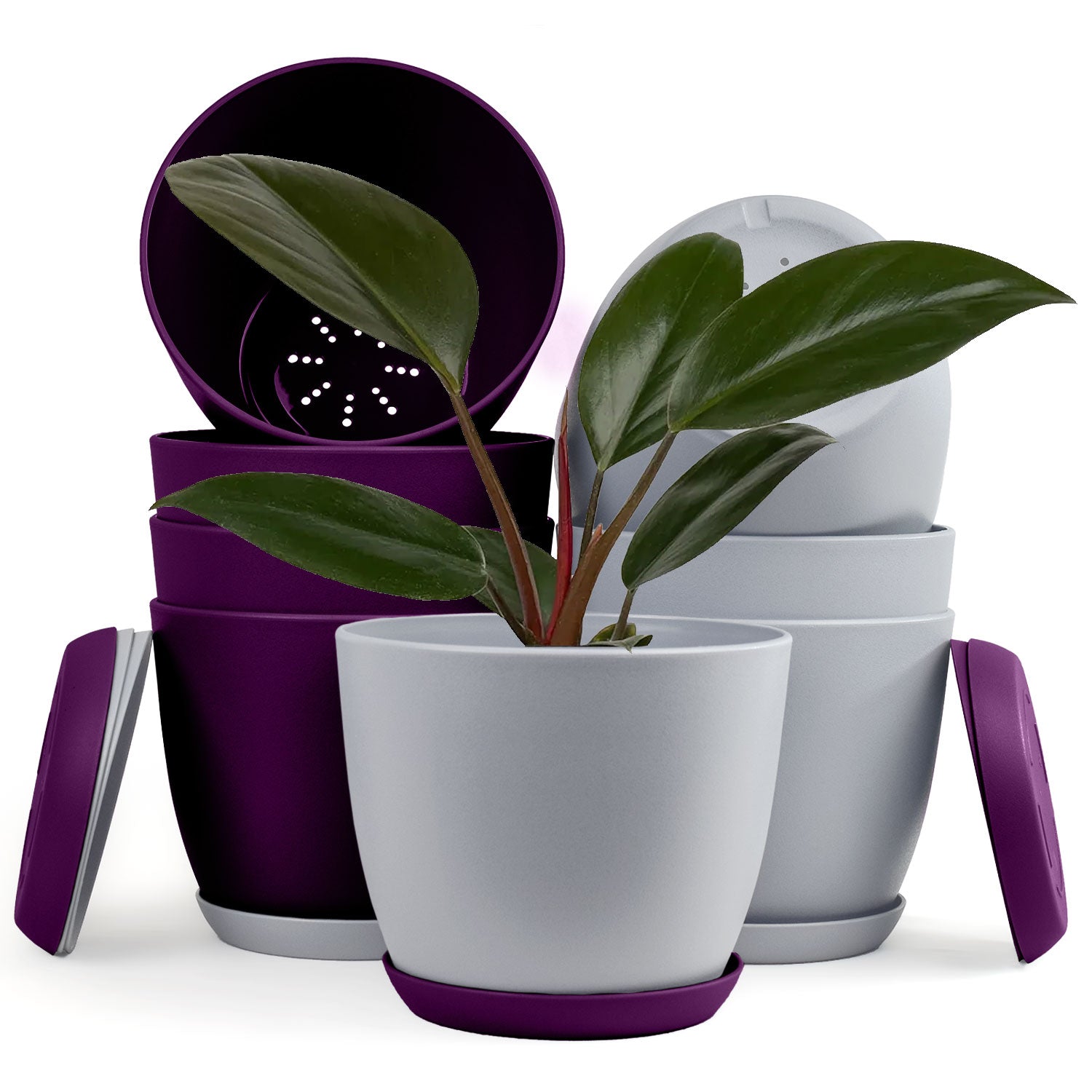 Revitalize Your Space with Fast Forward Extra Large Plant Pots: Two Vibrant Colors, Drainage, Ideal for Indoor Planters - Explore Multi-Packs for Plastic Planters