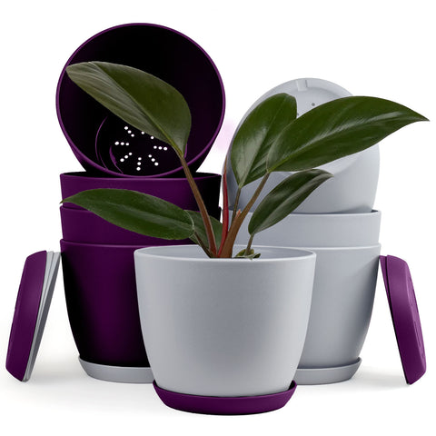 Revitalize Your Space with Fast Forward Extra Large Plant Pots: Two Vibrant Colors, Drainage, Ideal for Indoor Planters - Explore Multi-Packs for Plastic Planters, Cactus, and Succulents Decor