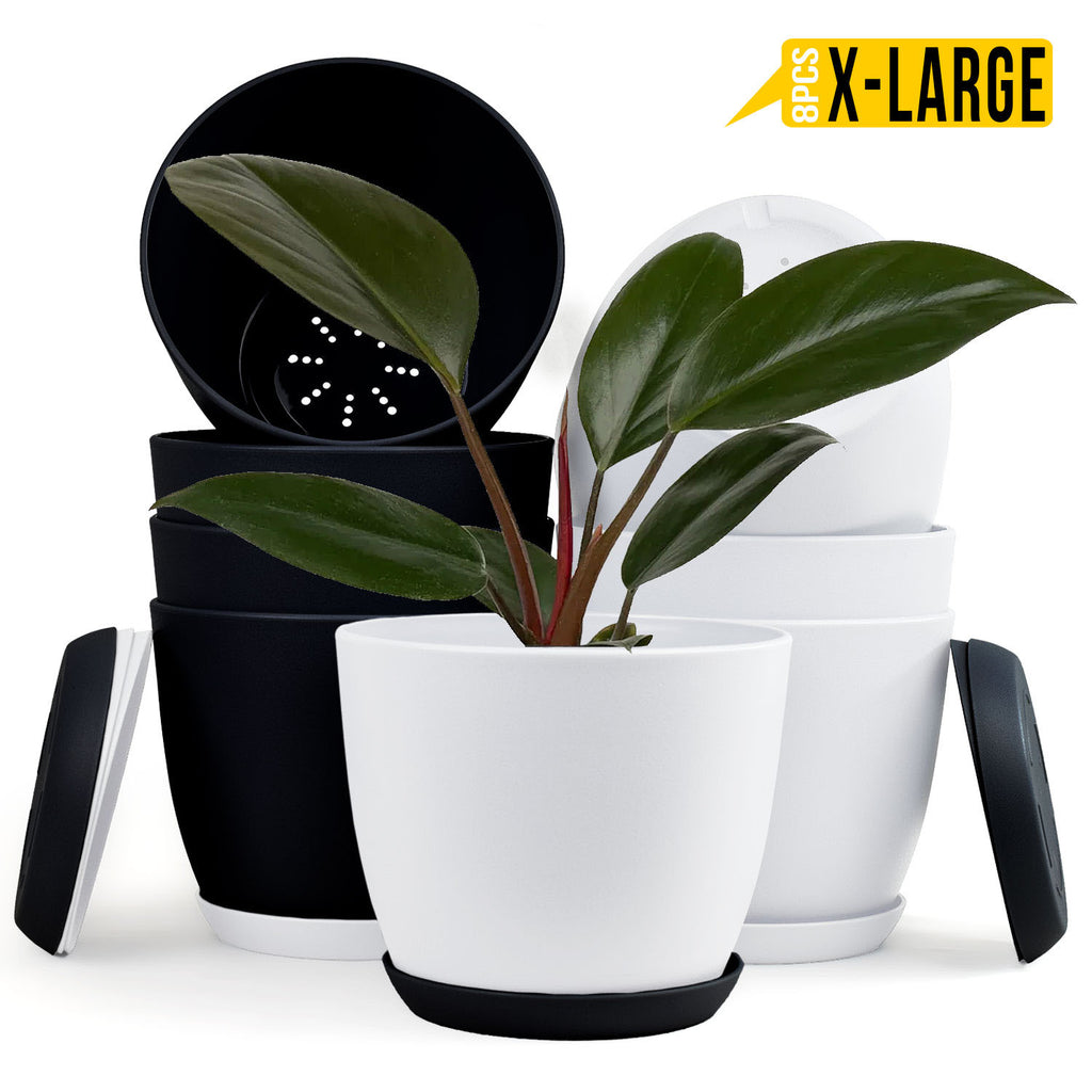 Fast Forward Extra Large Plant Pots with Drainage: Stylish Home Decor Flower Pots in Two Vibrant Colors - Ideal for Indoor Planters, Multi-Packs for Plastic Planters, Cactus, and Succulents Fast Forward
