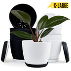 Fast Forward Extra Large Plant Pots with Drainage: Stylish Home Decor Flower Pots in Two Vibrant Colors - Ideal for Indoor Planters, Multi-Packs for Plastic Planters, Cactus, and Succulents Fast Forward