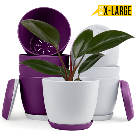 Fast Forward Extra Large Plant Pots with Drainage: Stylish Home Decor Flower Pots in Two Vibrant Colors - Ideal for Indoor Planters, Multi-Packs for Plastic Planters, Cactus, and Succulents