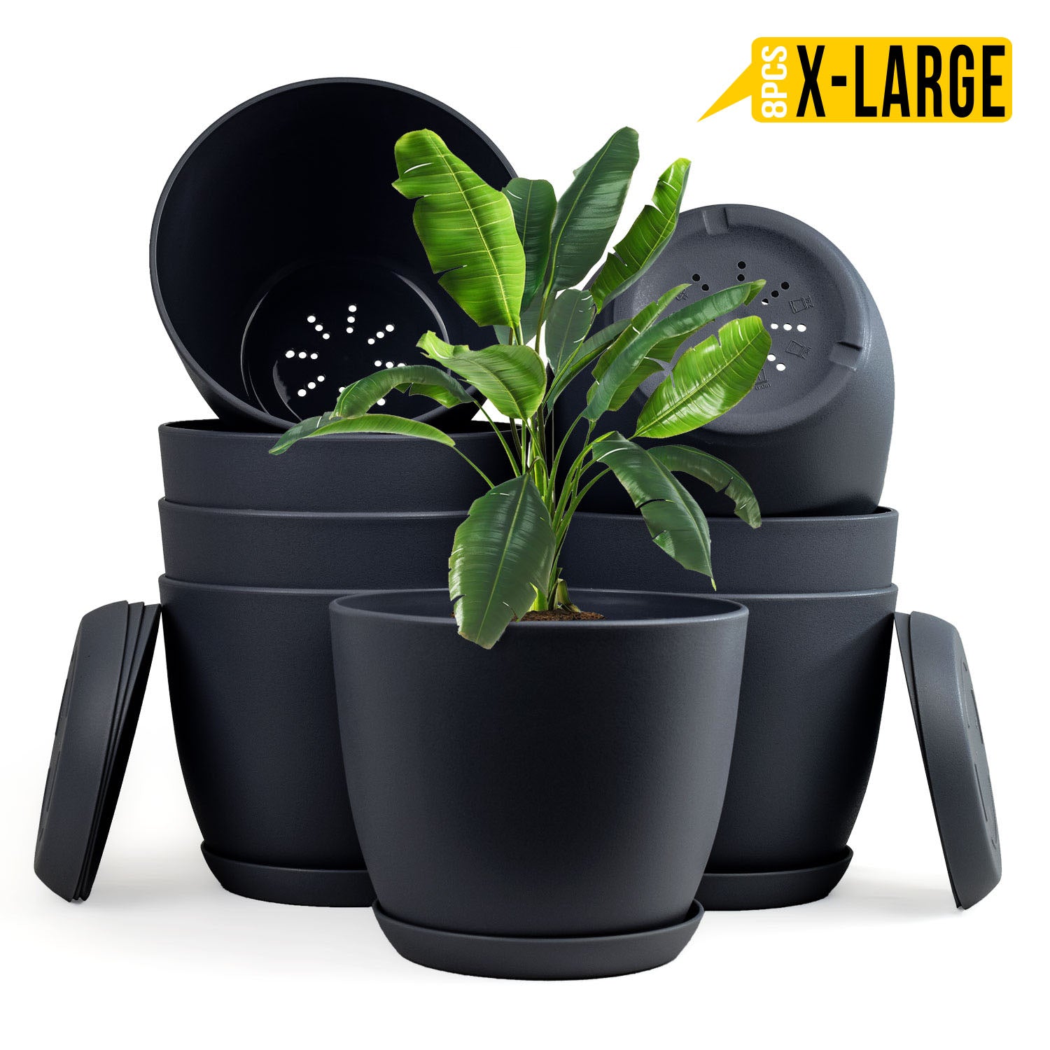 Enhance Your Space with Fast Forward Extra Large Plant Pots – Perfect Home Decor for Indoor and Outdoor Planters with Drainage - Explore Multi-Packs of Plastic Planters for Cactus and Succulents in Six Vibrant Colors Fast Forward